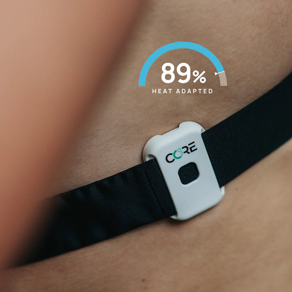 CORE 2 Thermo Censor